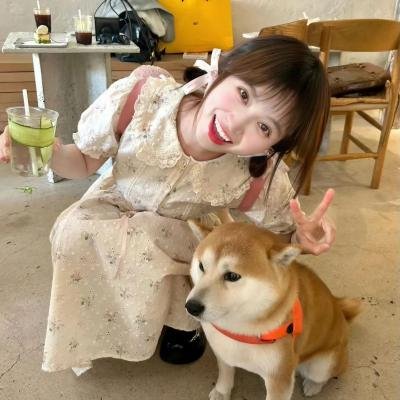 探案拍档第四季